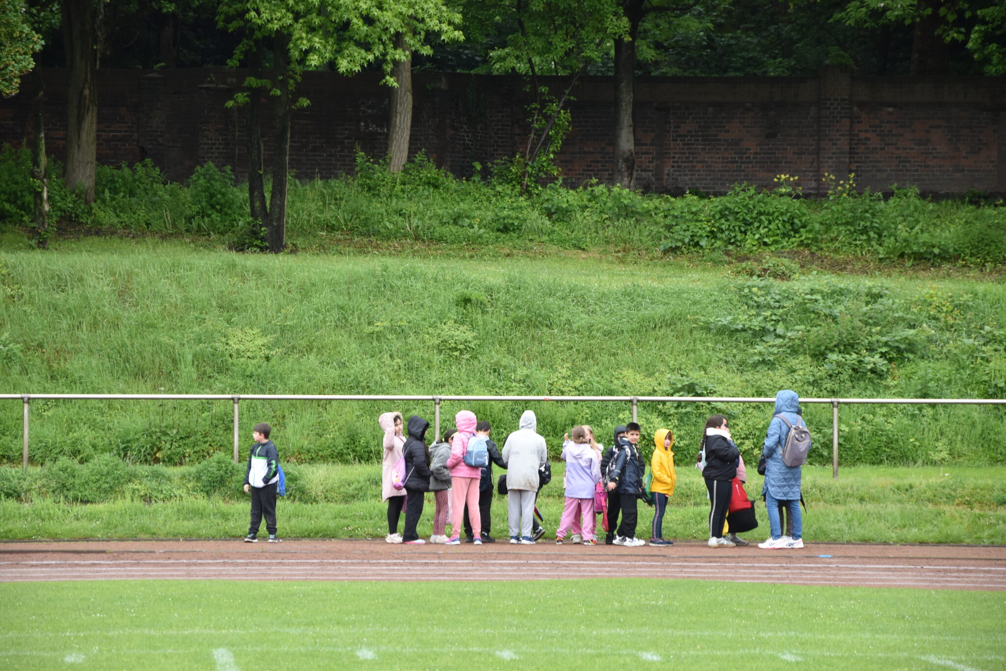 DSC_0713